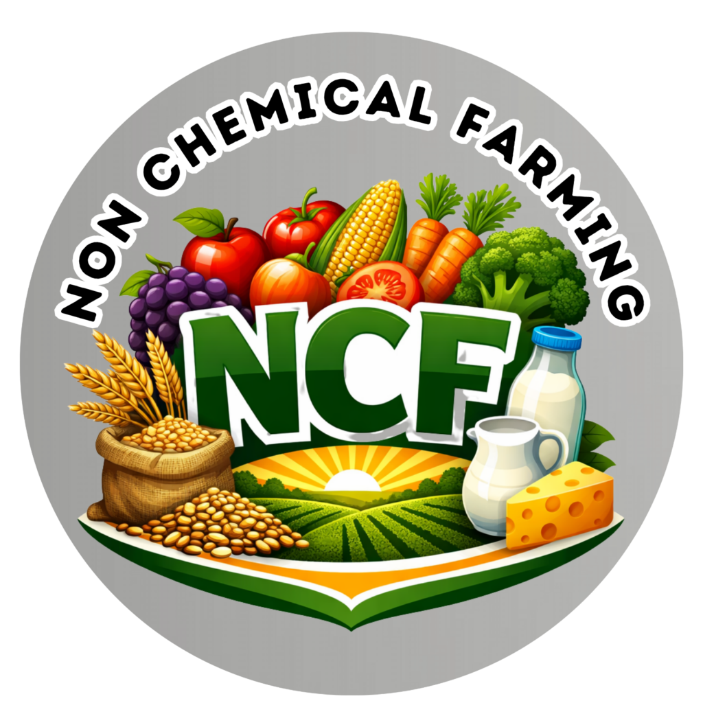 modern initial rm logo (1)